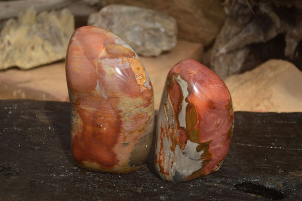 Polished Polychrome Jasper Standing Free Forms  x 2 From Marovato, Madagascar