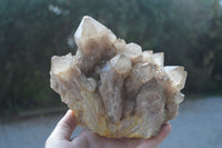 Natural Large White Phantom Smokey Quartz Cluster  x 1 From Luena, Congo - Toprock Gemstones and Minerals 