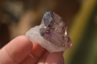 Natural Window Amethyst Quartz Crystals  x 12 From Chiredzi, Zimbabwe - Toprock Gemstones and Minerals 