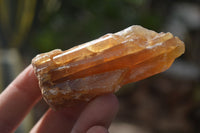 Natural Honey Aragonite Etched & Cobbed Pieces  x 35 From Namibia