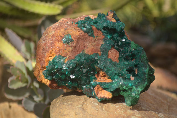 Natural Large Emerald Dioptase Crystal Specimen With Malachite On Red & Yellow Dolomite Matrix  x 1 From Likasi, Congo