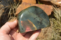 Polished Labradorite Standing Free Forms With Intense Blue & Gold Flash x 3 From Sakoany, Madagascar - TopRock