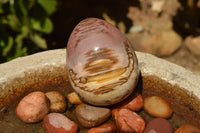 Polished Petrified Red Podocarpus Wood Eggs x 4 From Mahajanga, Madagascar - TopRock