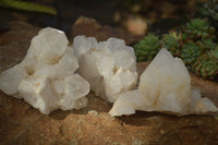 Natural "Cathedral Window" Candle Quartz Formations  x 3 From Madagascar