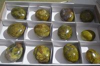 Polished Green Opal Palm Stones  x 12 From Madagascar - Toprock Gemstones and Minerals 