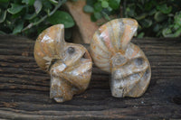 Polished Unique Fossil Matrix Sculptures  x 2 From Madagascar - Toprock Gemstones and Minerals 