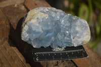 Natural Blue Celestite Crystal Specimens  x 2 From Madagascar - Toprock Gemstones and Minerals 