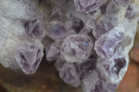 Natural Sugar Amethyst Quartz Cluster  x 1 From Zambia - Toprock Gemstones and Minerals 