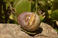 Polished Petrified Red Podocarpus Wood Eggs x 4 From Mahajanga, Madagascar - TopRock