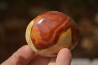 Polished  Polychrome / Picasso Jasper Palm Stones  x 12 From Madagascar