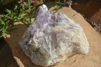 Natural Sugar Amethyst Quartz Cluster  x 1 From Zambia - Toprock Gemstones and Minerals 