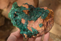 Natural Large Emerald Dioptase Crystal Specimen With Malachite On Red & Yellow Dolomite Matrix x 1 From Likasi, Congo