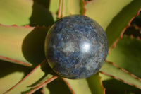 Polished Rare Iolite / Water Sapphire Spheres  x 2 From Northern Cape, South Africa - Toprock Gemstones and Minerals 