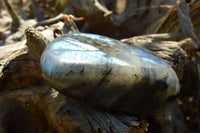 Polished Labradorite Standing Free Forms With Intense Blue & Gold Flash x 3 From Sakoany, Madagascar - TopRock