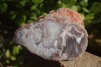 Polished Red Sache River Agate Nodules x 4 From Sashe River, Zimbabwe