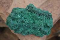 Natural Chatoyant Silky Malachite Specimens  x 2 From Kasompe, Congo - Toprock Gemstones and Minerals 