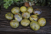 Polished Green Opal Palm Stones  x 12 From Madagascar - Toprock Gemstones and Minerals 