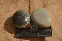 Polished  Polychrome / Picasso Jasper Palm Stones  x 12 From Madagascar