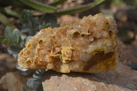 Natural Limonite Quartz Clusters x 2 From Solwezi, Zambia