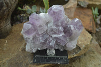 Natural Jacaranda Amethyst Clusters  x 3 From Mumbwa, Zambia - Toprock Gemstones and Minerals 