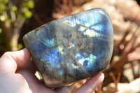 Polished Labradorite Standing Free Forms With Intense Blue & Gold Flash x 3 From Sakoany, Madagascar - TopRock