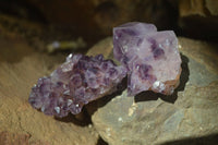 Natural Rare Dark Purple Spirit Amethyst Clusters  x 24 From Boekenhouthoek, South Africa - Toprock Gemstones and Minerals 