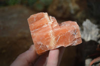 Natural New Sunset Orange Calcite Specimens  x 12 From Spitzkop, Namibia