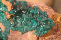 Natural Large Emerald Dioptase Crystal Specimen With Malachite On Red & Yellow Dolomite Matrix x 1 From Likasi, Congo