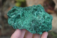 Natural Chatoyant Silky Malachite Specimens  x 2 From Kasompe, Congo - Toprock Gemstones and Minerals 