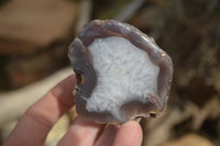 Polished River Agate Nodules  x 6 From Zimbabwe