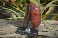 Polished Polychrome Jasper Standing Free Forms  x 2 From Marovato, Madagascar