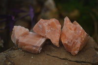 Natural New Sunset Orange Calcite Specimens  x 24 From Spitzkop, Namibia