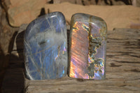 Polished Rare Purple Flash Labradorite Standing Free Forms x 2 From Tulear, Madagascar