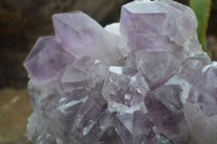 Natural Jacaranda Amethyst Clusters  x 3 From Mumbwa, Zambia - Toprock Gemstones and Minerals 