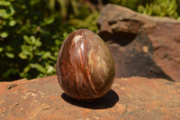 Polished Petrified Red Podocarpus Wood Eggs x 4 From Mahajanga, Madagascar - TopRock