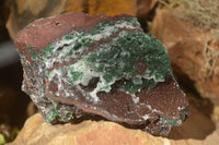 Natural Rare Ball Malachite On Drusy Quartz & Dolomite Matrix  x 3 From Likasi, Congo - Toprock Gemstones and Minerals 