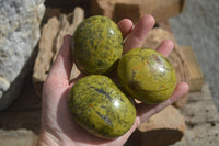 Polished Green Opal Palm Stones  x 12 From Madagascar - Toprock Gemstones and Minerals 