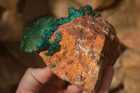 Natural Large Emerald Dioptase Crystal Specimen With Malachite On Red & Yellow Dolomite Matrix x 1 From Likasi, Congo