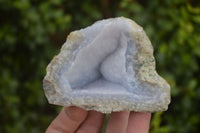 Natural Blue Lace Agate Geode Specimens x 12 From Nsanje, Malawi