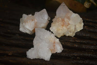 Natural Cactus Flower Spirit Quartz Crystals  x 35 From Boekenhouthoek, South Africa - Toprock Gemstones and Minerals 