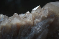 Natural Large White Phantom Smokey Quartz Cluster  x 1 From Luena, Congo - Toprock Gemstones and Minerals 