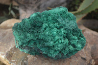 Natural Chatoyant Silky Malachite Specimens  x 2 From Kasompe, Congo - Toprock Gemstones and Minerals 