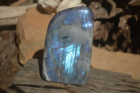 Polished Rare Purple Flash Labradorite Standing Free Forms x 2 From Tulear, Madagascar