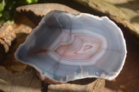 Polished Red Sache River Agate Nodules x 4 From Sashe River, Zimbabwe