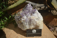 Natural Sugar Amethyst Quartz Cluster  x 1 From Zambia - Toprock Gemstones and Minerals 