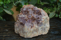 Natural Large Sugar Amethyst Cluster  x 1 From Zambia - Toprock Gemstones and Minerals 