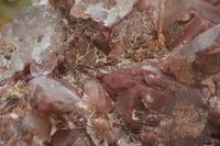 Natural Red Hematoid Quartz Specimen x 1 From Karoi, Zimbabwe - TopRock