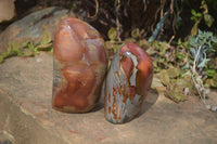 Polished Polychrome Jasper Standing Free Forms  x 2 From Marovato, Madagascar