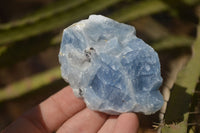 Natural New Sky Blue Calcite Specimens  x 24 From Spitzkop, Namibia