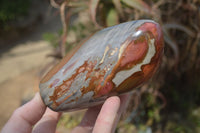 Polished Polychrome Jasper Standing Free Forms  x 2 From Marovato, Madagascar